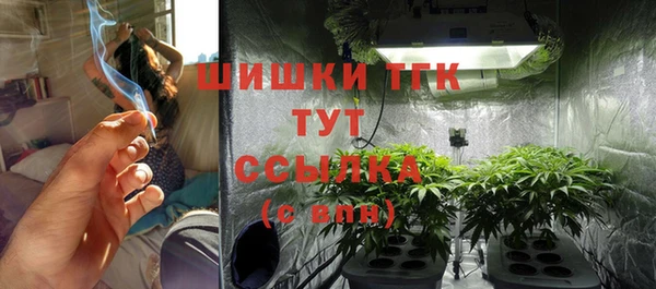 соль ск Абаза